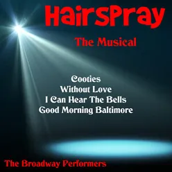 Hairspray the Musical