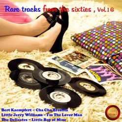 Rare Tracks from the Sixties, Vol. 16