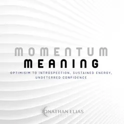 Momentum & Meaning