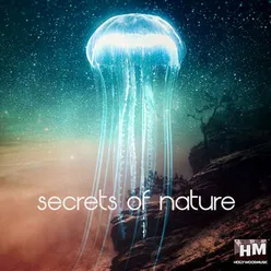 Secrets of Nature