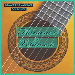 Sounds of Havana: Flamenco, Vol. 2