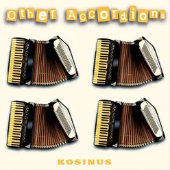 Other Accordions