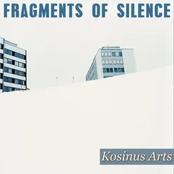 Fragments Of Silence