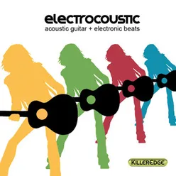 Electrocoustic