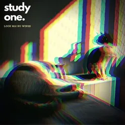 study one