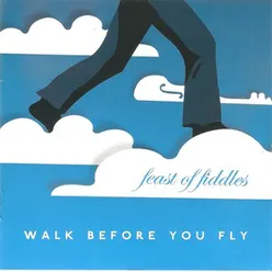 Walk Before You Fly