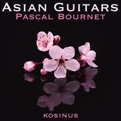 Asian Guitars