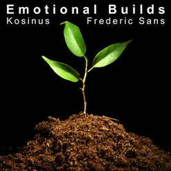 Emotional Builds