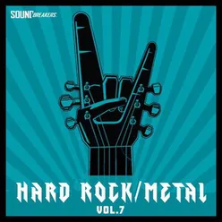 Hard Rock / Metal, Vol. 7