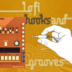 Lo-FI Hooks & Grooves