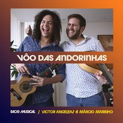 O Vôo das Andorinhas