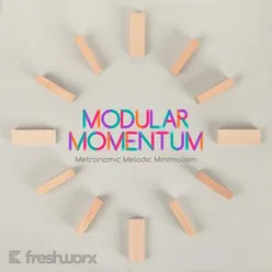Modular Momentum