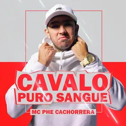 Cavalo Puro Sangue