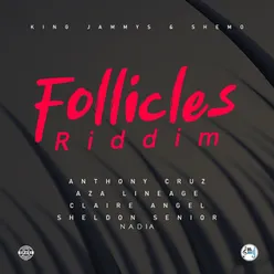 Follicles Riddim