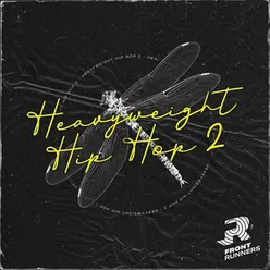 Heavyweight Hip Hop 2