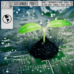 Sustainable Profits