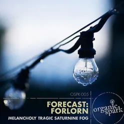 Forecast: Forlorn