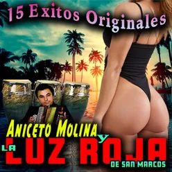 15 Exitos Originales