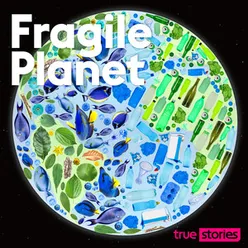 Fragile Planet