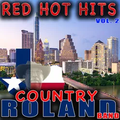 Red Hot Hits Vol. 2