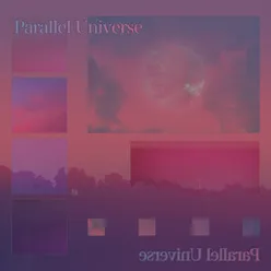 Parallel Universe