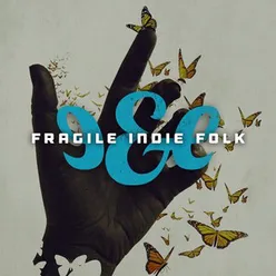 Fragile Indie Folk