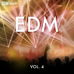 EDM, Vol. 4