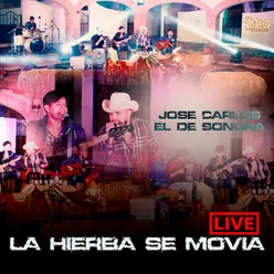 La Hierba Se Movia En Vivo