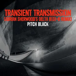 Transient Transmission Adrian Sherwood's Delta B(0)=B Remix