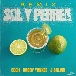 Sal y Perrea Remix