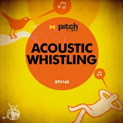 Acoustic Whistling