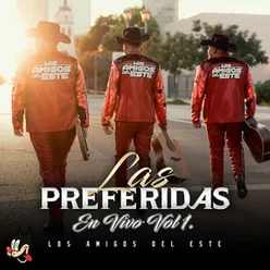 Las PREFERIDAS  Vol. 1 En Vivo