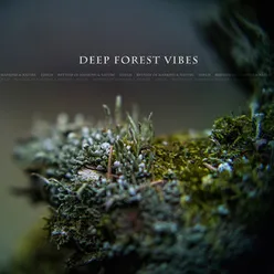 Deep Forest Vibes Remastered 2021