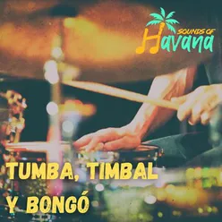 TUMBA, TIMBAL & BONGÓ