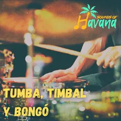 Tumba, Timbal Y Bongó