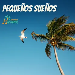 Pequeños Sueños