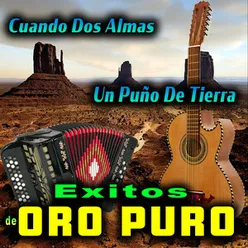 Exitos De Oro Puro