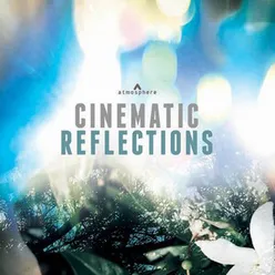 Cinematic Reflections