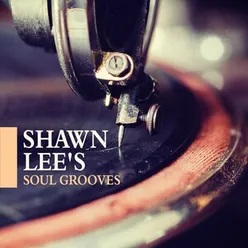 Shawn Lee's Soul Grooves