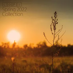 LoFi Spring 2022 Collection Extended Edition