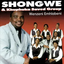 Wenzeni Emhlabeni