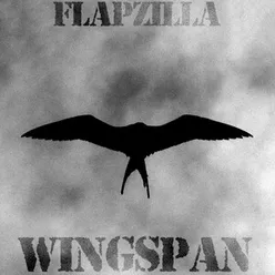 Wingspan