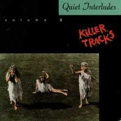 Quiet Interludes, Vol. 2