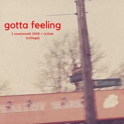 Gotta Feeling