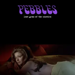 Pebbles: Lost Gems of the 60s, Vol. 1