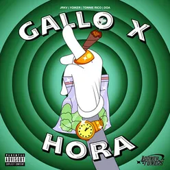 Gallo X hora