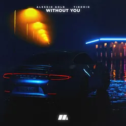 Without You