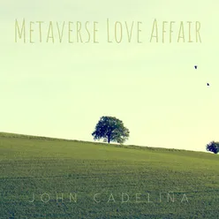 Metaverse Love Affair