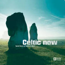 Celtic Hero