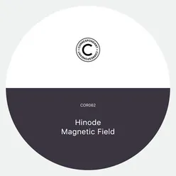 Magnetic Field